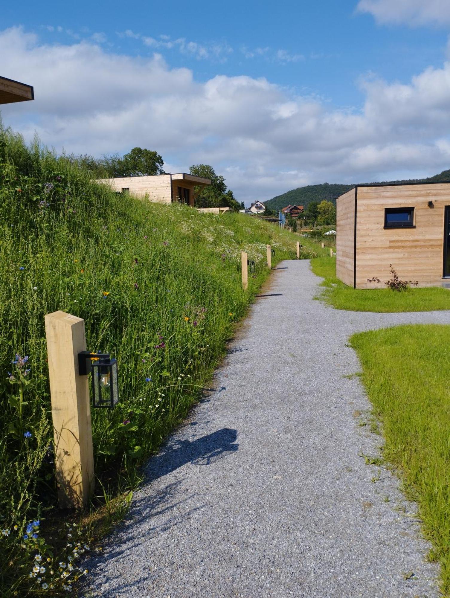 Ferienresort Edersee Gmbh Hemfurth-Edersee Ngoại thất bức ảnh